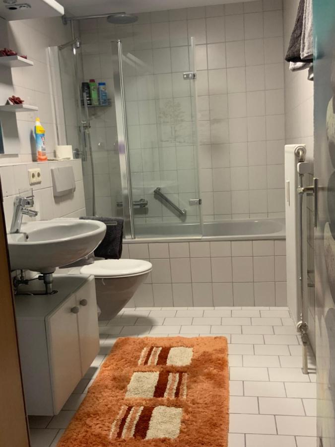 Ferienwohnung Sonnenschein Grenzach-Wyhlen Zewnętrze zdjęcie