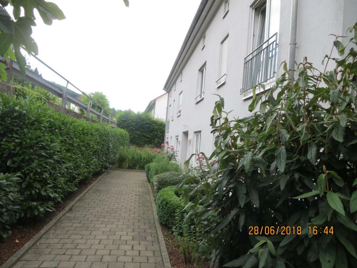 Ferienwohnung Sonnenschein Grenzach-Wyhlen Zewnętrze zdjęcie